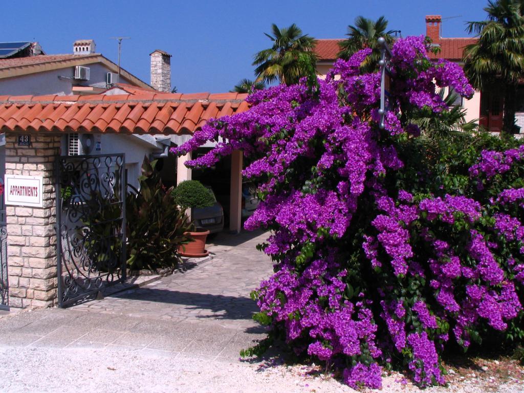 Apartments Nela Poreč Eksteriør bilde